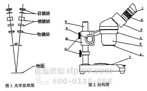 生物/金相顯微鏡雙目原理圖